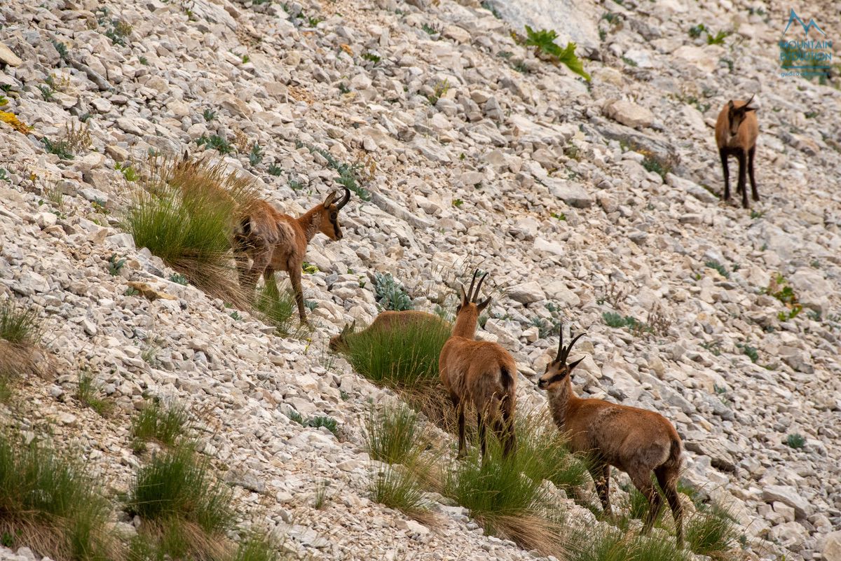 Notturna Al Corno Grande Gran Sasso