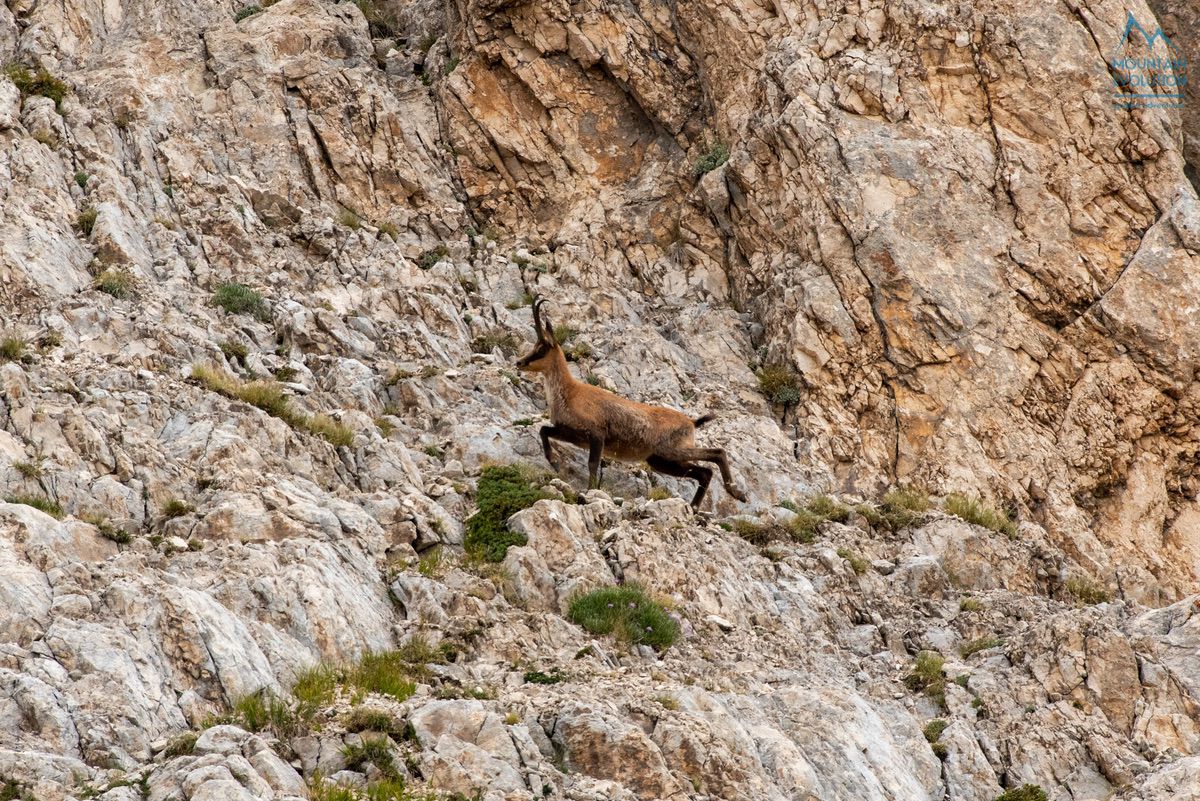 Notturna Al Corno Grande Gran Sasso